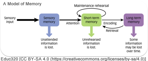 A model of memory